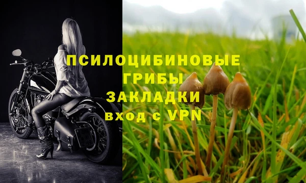 spice Волосово